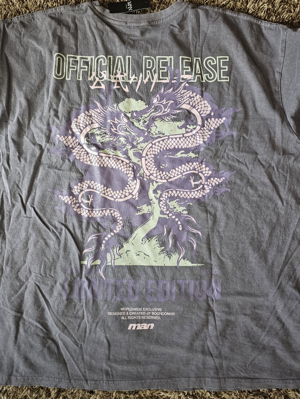 Dragon Print Oversized T-Shirt 4x NWT